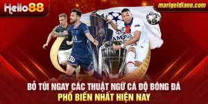 Bỏ túi ngay các thuật ngữ cá độ bóng đá phổ biến nhất hiện nay