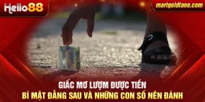 Giấc mơ lượm được tiền: Bí mật đằng sau và những con số nên đánh